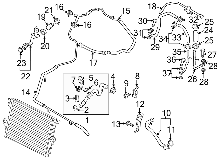 2009 Volkswagen Jetta Radiator Coolant Hose Seal. SUPPLY, RETURN